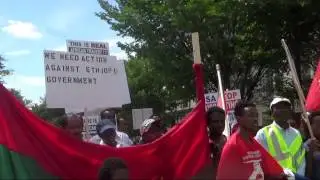 DC Oromo Community Rally