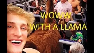 Logan Paul 