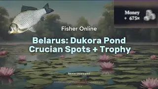 Trophy Crucian | Active Crucian Spots 600+ Silver farm! | Fisher Online | Belarus Dukora Pond