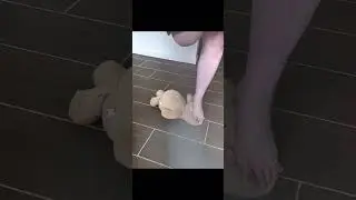 Teddy bear trample massive feet