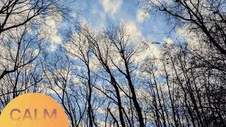 Calm at sunrise &ndash; Ambient Morning Road & Nature Sounds for Relaxation & Focus