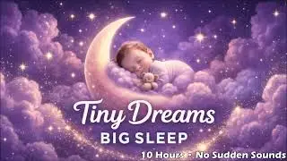 Steady Fan Noise for Baby Sleep | 10 Hours | No Sudden Sounds
