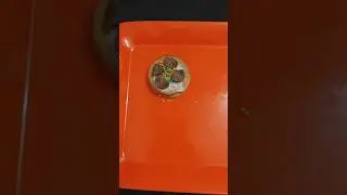Fireless cooking for kids #food #kids #diy #dessert #easyrecipe #firelesscookingrecipes #snack