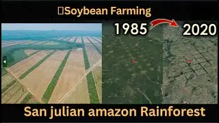 Soybean farming San Julian amazon rainforest || 1985 - 2022 Timelapse