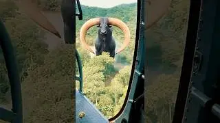Amazing Giant Bull Running in the Amazon Jungle