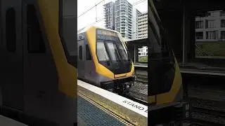 Millennium M sets of Sydney Trains 💛 #train #shorts #sydney