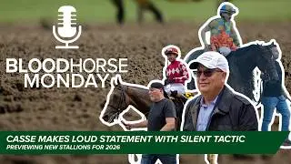 Silent Tactic's Southwest Tops Casse's Big Weekend, New Stallion Preview | BloodHorse Monday | E054