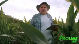 Prolime Agriculture