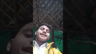 Dehati channel1 TV  is live updates of the best friend me 👈#song #love #love #funny #funny #comedy 