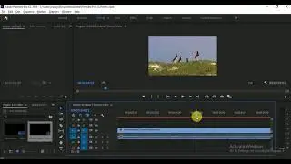 How to Trim video in Adobe Premiere Pro CC