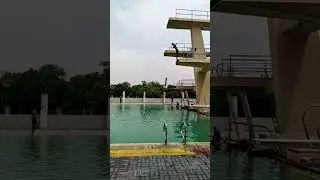 3 meter back sumersel Dive #swimming #Diving