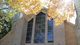 Sunday, January 11, 2026, at 8:30am Mass - St. Francis