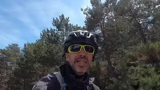 Puerto De #Canencia Paseando Entre &Aacute;rboles Y Pinos Aprendiendo A escucharlos!!! con Mar!!!