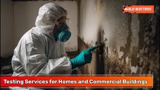 Testing Services for Homes and Commercial Buildings in Ontario and Quebec - Mold Busters