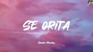 Señorita - Shawn Mendes (Lyrics) Bella Poarch, Ariana Grande, Passenger