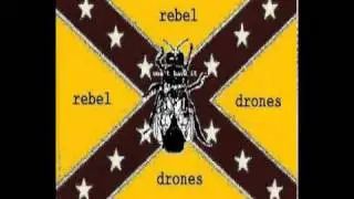 Rebel Drones - Abusing The System