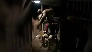 My Cat vs. A BEAR! Unbelievable Save! 🙀🐻 #cat #hero #lucky