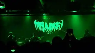 trauma ray - Ember - Toad's Place, New Haven, CT 11/14/2024