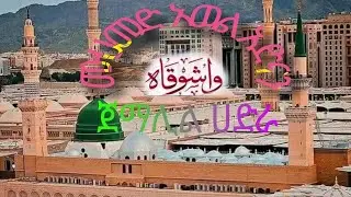 በሸይኽ ሙሀመድ አወል አድናኔ የሚገርም የቂብላ ሀድራ / besheyk muhamed awel adnane yemigerm yewelo hadr