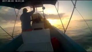 Spearfishing isla cerralvo