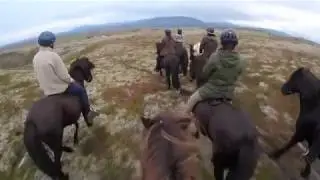 Highland Ride @Geysir Hestar ICELAND