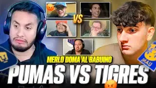 DEBATE PUMAS vs TIGRES (MERLO DOMA AL BABUI)