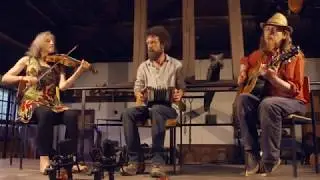 Owl Light Trio at Klangrauschtreffen 2018