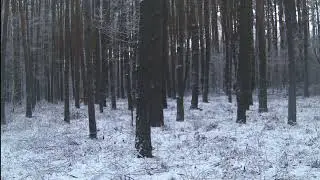 Zima jest ciężka