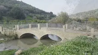 נחל ציפורי