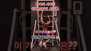 지옥의 사다리, 레더밀 Laddermill, 팔&middot;등 운동 끝판 왕! 👍🏻 #gym #래더밀 #backworkout #workout #팔운동 #등운동 #short