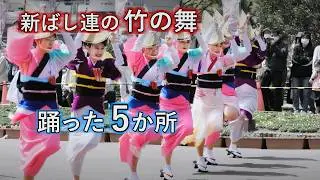阿波踊り　新ばし連の竹の舞