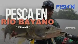 PESCA en el R&iacute;o Bayano en Panam&aacute;
