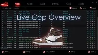 NikeShoeBot Travis Scott x Air Jordan 1 Live Cop Overview