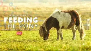 Feeding the Pony: Addressing EMS, Laminitis, and Cushing's Disease