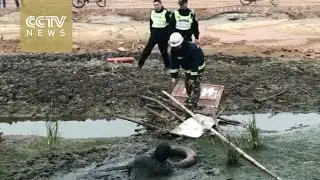 Footage: Firefighters rescue drunken man from deep mire