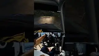 EA Sports WRC VR   Hitman Avenger    On Safari #gaming #simracing #gameplay 11