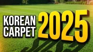 Korean Carpet Lawn Grass Plot Ready For Harvesting Nov 2025 #samratsoft #lawnindia 