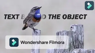 Text behind the object tutorial in Filmora 11