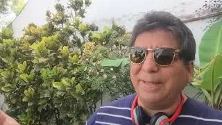 Cómo funciona la comercialización de concentrados