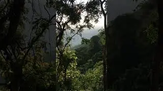 Yercaud forest view #yercaud #yercaudhills #yercaudtrip #yercaudhillstation #yercaudvlog