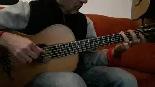 Guitarra de sal&oacute;n 