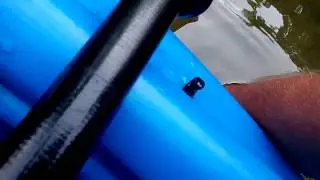 How to catch a fish with your bare hands.