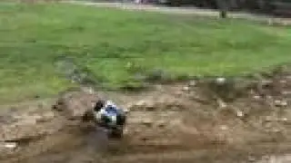 Back Yard Bashing