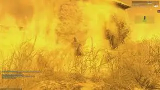 shore absolutely fucking decimates me