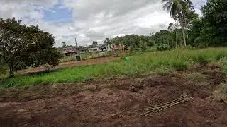 Backhoe scavenging dirt and grass from roadside to help fill.