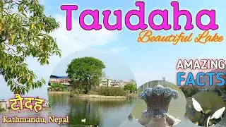 Taudaha Lake Vlog Kathmandu | Amazing Myth of Taudaha | Best Lake Near Kathmandu | Full Story | RBB