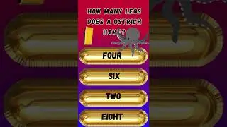 #tricks #challenge #quiz #funquiz #gk #quizze #riddles #chooseyourthings #trivia #english #gkinhindi