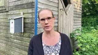 M&auml;ngel IMMO TIPPS