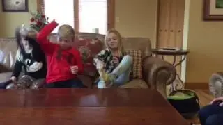 Socks