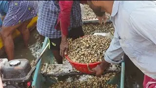 30 കിലോ എരുന്ത്  450 രൂപ ഇന്നത്തെ വില ചാലിയം